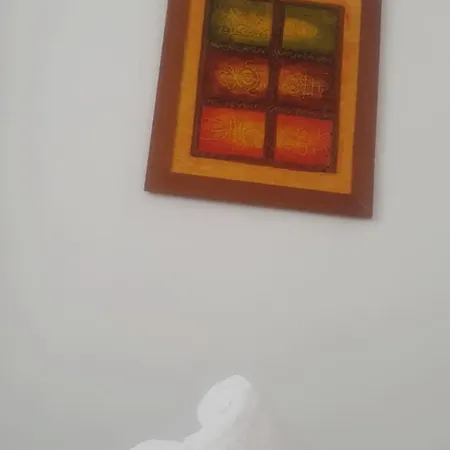 Tranquila, Centrica Y Luminosa De Matrimonio En Vivienda Compartida Valencia