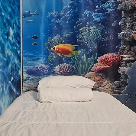 A45 Viviendaturisticavalencia Mundo Valencia