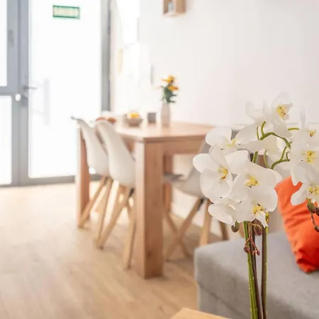 Apartament Vlc Yako