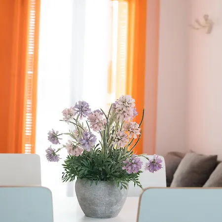 Hogar Vera Apartments&bikes Apartment