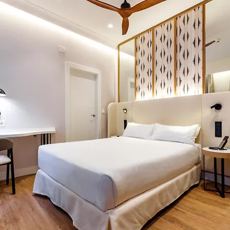 Petit Palace Plaza De La Reina