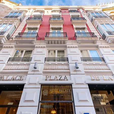 Petit Palace Plaza De La Reina מלון 3*
