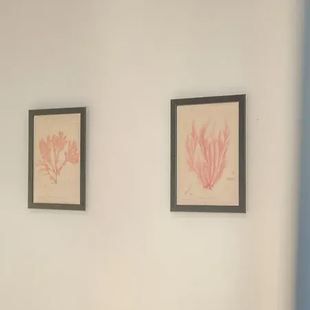 アパートホテル With Antique Floor & Lots Of Sun Light 4*