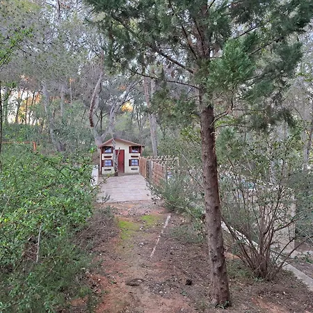 La Casa Del Bosque Holiday home