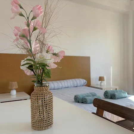 Daire Urban - Primado Reig *