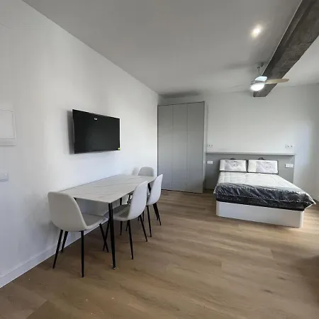 Loft En El Centro De Botanico 6 Apartment Valencia