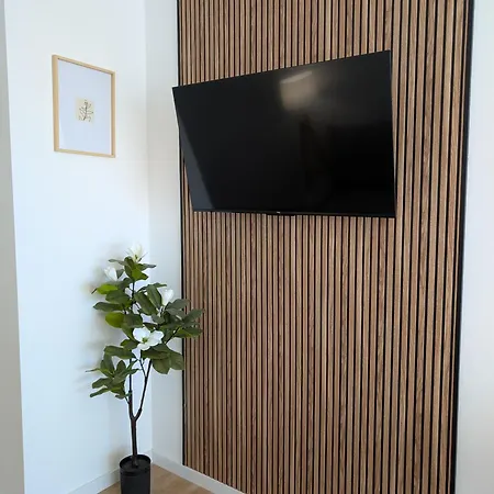 Mono - Modern - Near Bioparc By Rio Turia