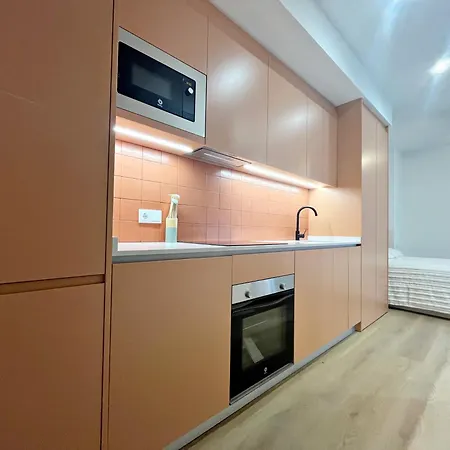 Loft En El Centro De Botanico 3 * 瓦伦西亚