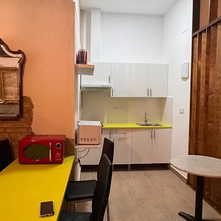 Daire Gran Loft En El Centro De