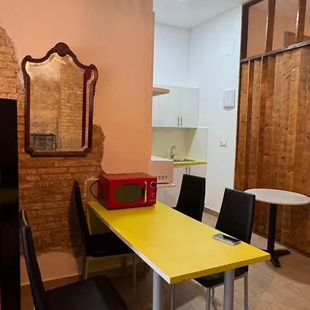 公寓 Gran Loft En Planta Baja En El Centro De *