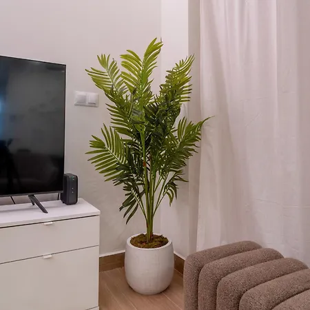 Viva - Arte & Reflejos Валенсия