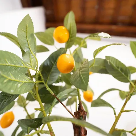 Pinedo Playa Rustico Διαμέρισμα Βαλένθια