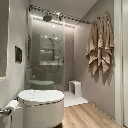 Bright Spacious Luxury 公寓 瓦伦西亚