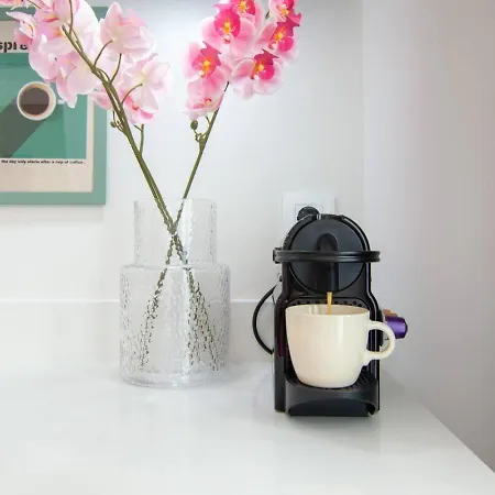 Nomad Viveros 02 * Valensiya