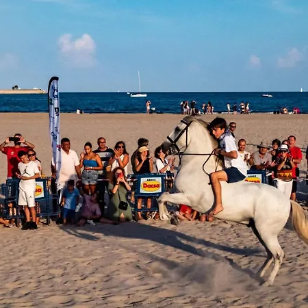 Διαμέρισμα Pinedo Playa Rustico *