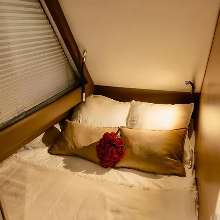 Luxury Catamaran In Marina 船屋 *