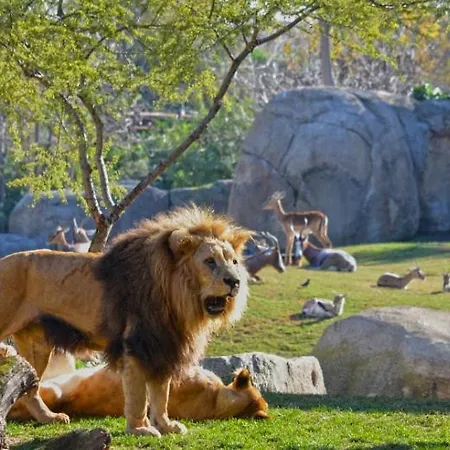 Apartment Parque De Cabecera & Bioparc *