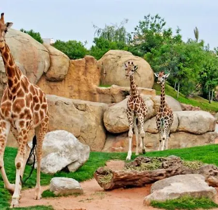 Parque De Cabecera & Bioparc Valencia
