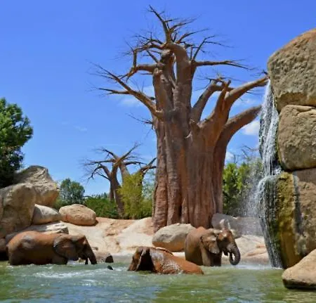Parque De Cabecera & Bioparc Apartment Valencia