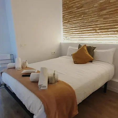 Vip En Vivienda Compartida Muy Centricas