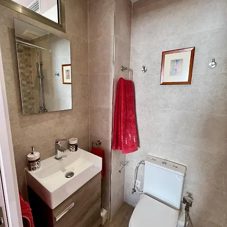 Privada Con Bano En Un Moderno Y Centrico Atico En Ciutat Vella