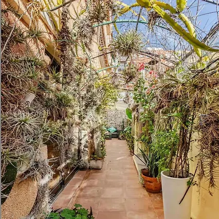 Oasis Epifito Urbano Botanical Wellness Oasis Near Of Arts & Sciencies בית אירוח ולנסיה