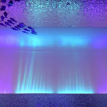 Joaquin Sorolla Pod *