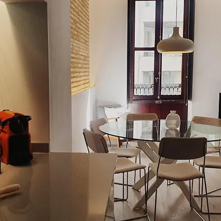 Vip En Vivienda Lujo Muy Centrica 홈스테이