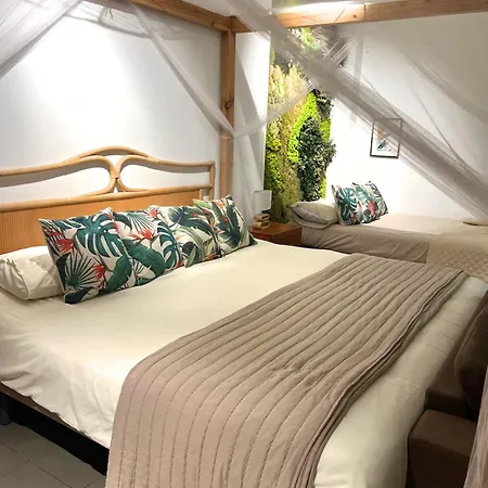 Patacona 3* Valencie