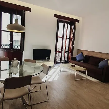 Vip En Vivienda Compartida Muy Centricas