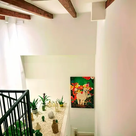 Sumsi28 Boutique