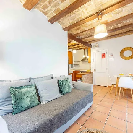 Flat 1 Bedroom Historical Center *