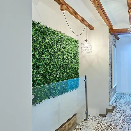 Апартаменты Invalencia - Tree Plaza A