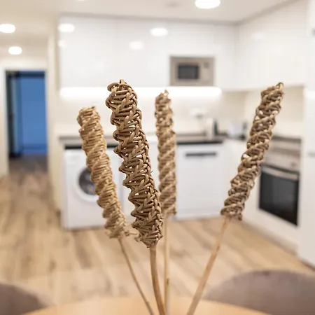 Florista By Concept Flats Apartment Valencia