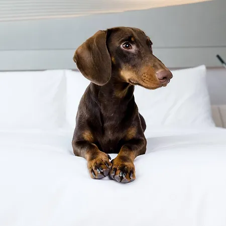 Melia 4* Valence