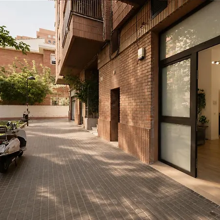 Pingueino - Entire - Near And Stadium By Rio Turia Valencia