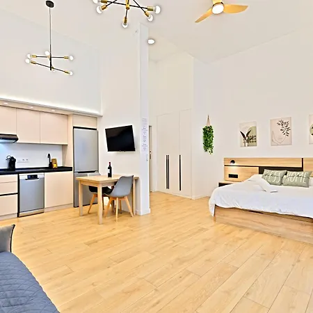 Pingueino - Entire - Near And Stadium By Rio Turia Valencia
