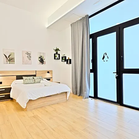 Pingueino - Entire - Near And Stadium By Rio Turia