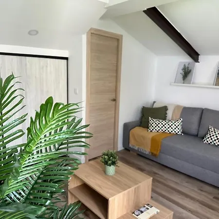 El Carmen Estudio Con Terraza فالنسيا