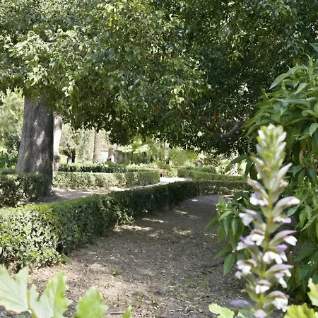 Apartament Travel Habitat Jardin Ayora *