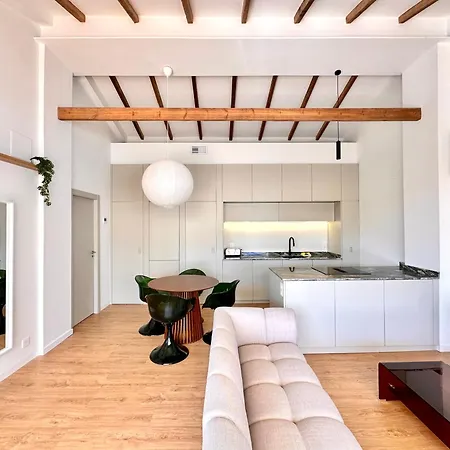 Penthouse With Terrace & Roja Views 아파트