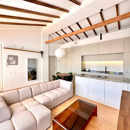 Penthouse With Terrace & Roja Views 아파트