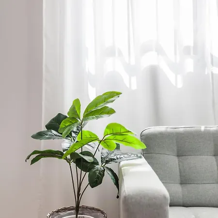 Apartment Cozy & New Next To Turia Gardens Valencia