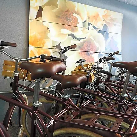 Hotel Suits Centro Historico, Establecimiento Automatizado-fast Auto Check In&out, Solo Adultos-adults Only Valencia