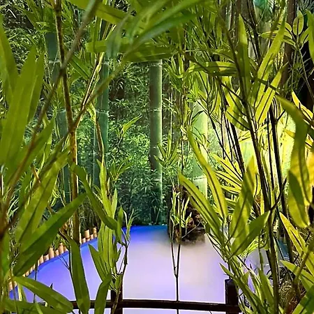 The Pod Village
