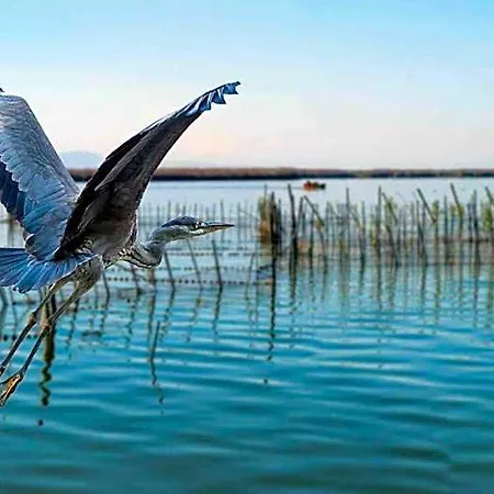 Albufera Dreams Nature 4* فالنسيا