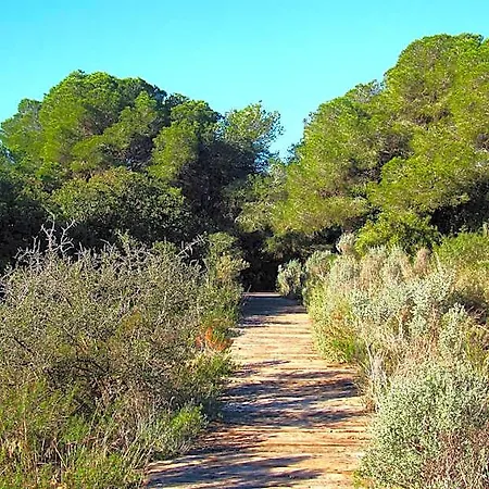 Albufera Dreams Nature 4* فالنسيا