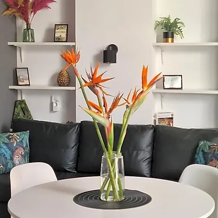 Hlius Brand New Lejlighedshotel Valencia