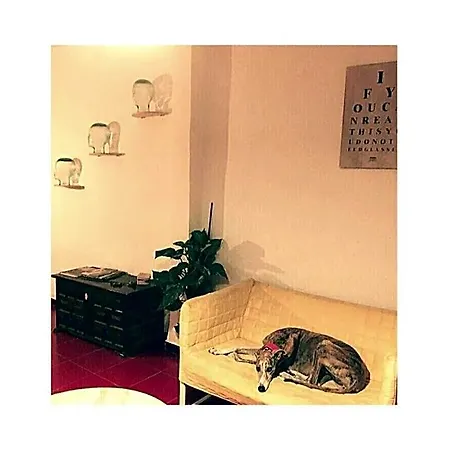 住宿加早餐酒店 吾家旅馆 瓦伦西亚