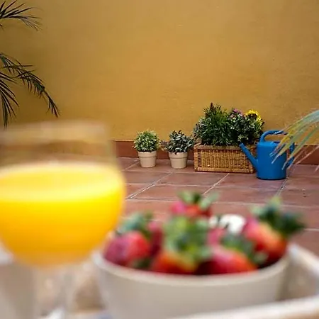 Singularstays Botanico29 ולנסיה